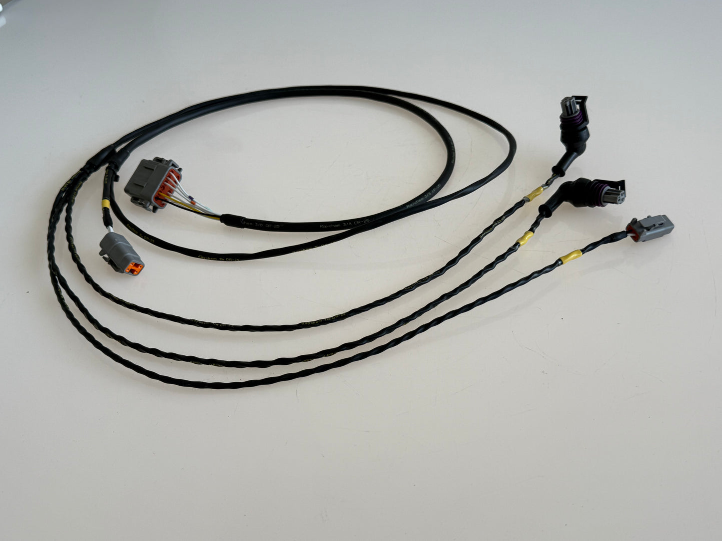 Base Spec Harness