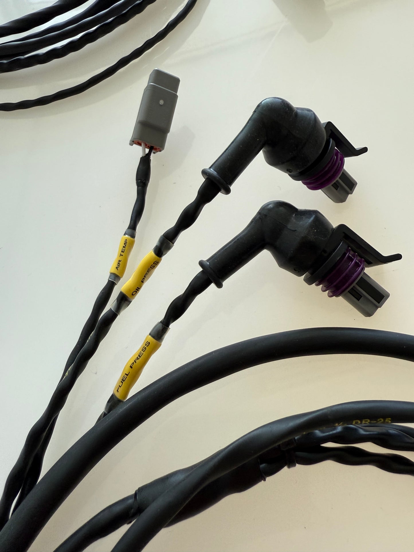 Base Spec Harness