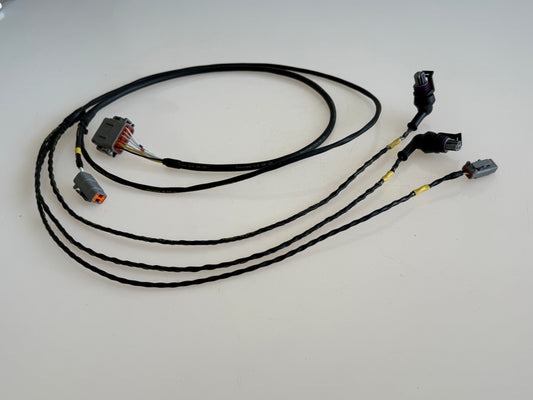 Base Spec Harness